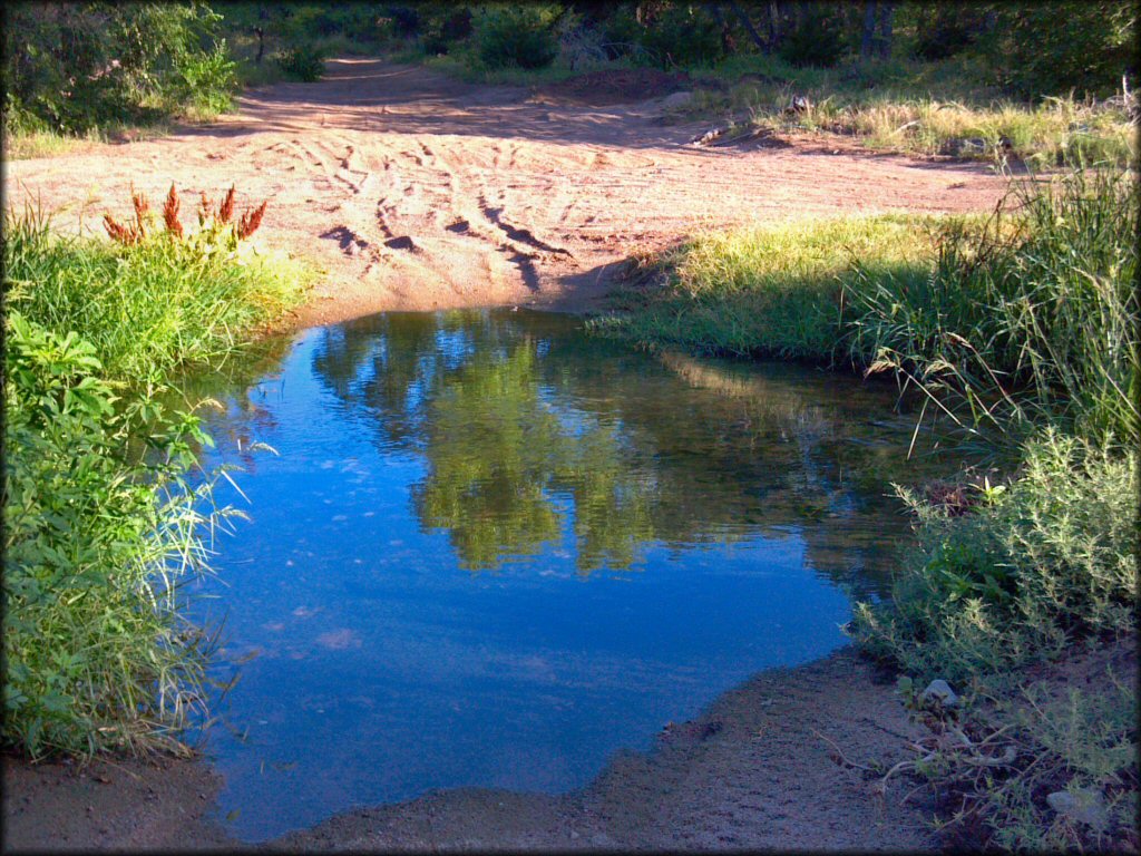 A trail at The River ATV Park Trail
