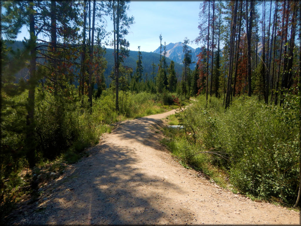 Stanley Lake Trail