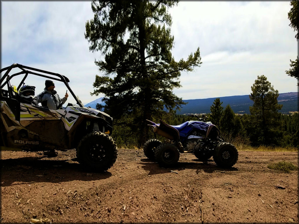Woman sitting in passenger side of Polaris 1000 RZR with roll cage parked behind Yamaha Raptor 900R.