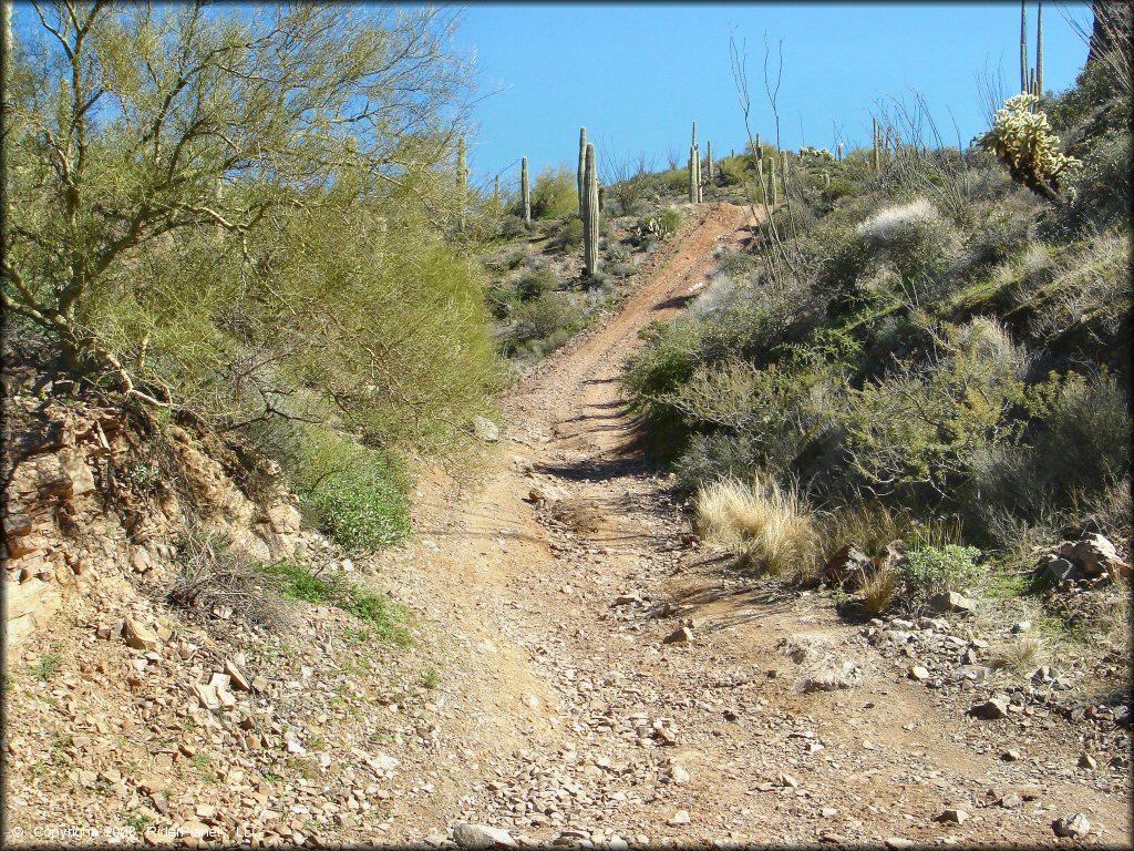 A close up photo of rocky 4x4 trail.