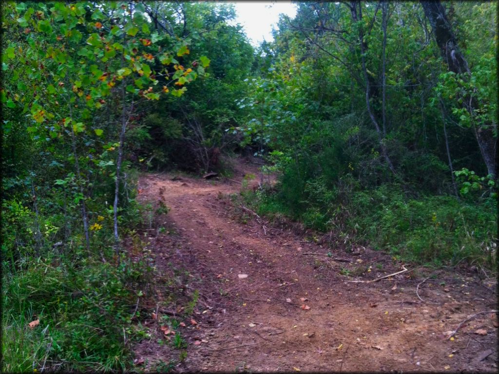 Red Springs Motorsports OHV Area