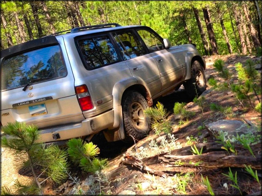 Lexus LX450 4WD on the trail.