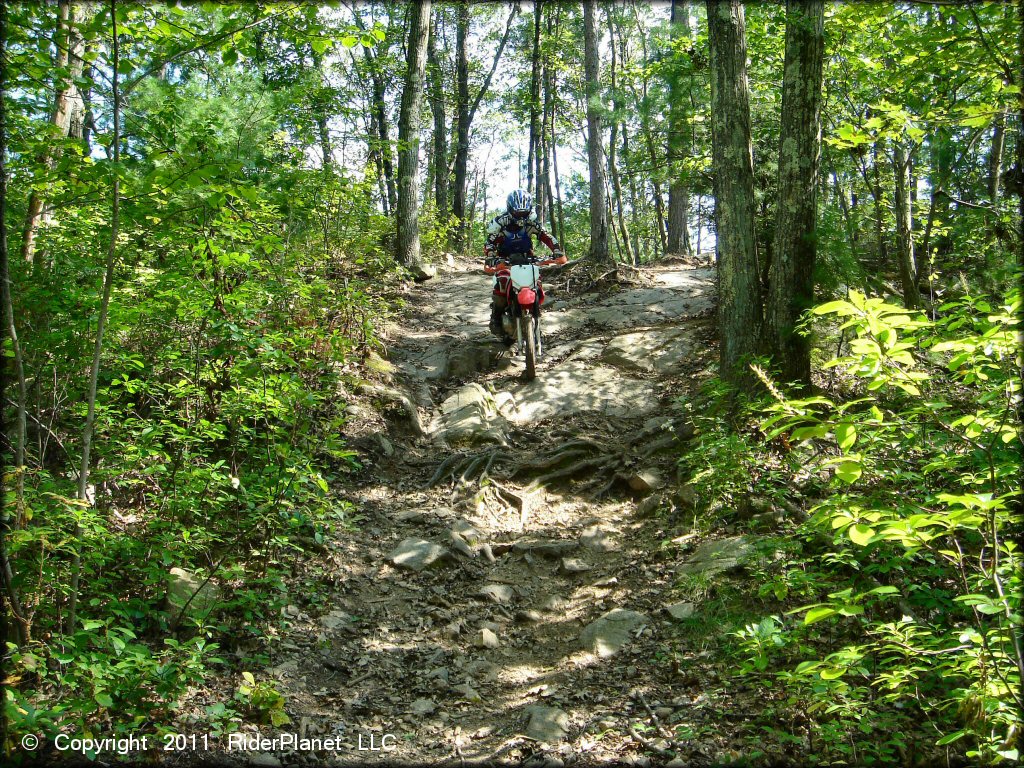 Honda CRF Dirtbike at Wrentham Trails