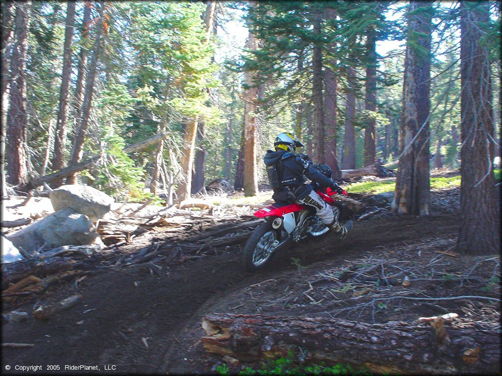 Honda CRF Motorcycle at Genoa Peak Trail