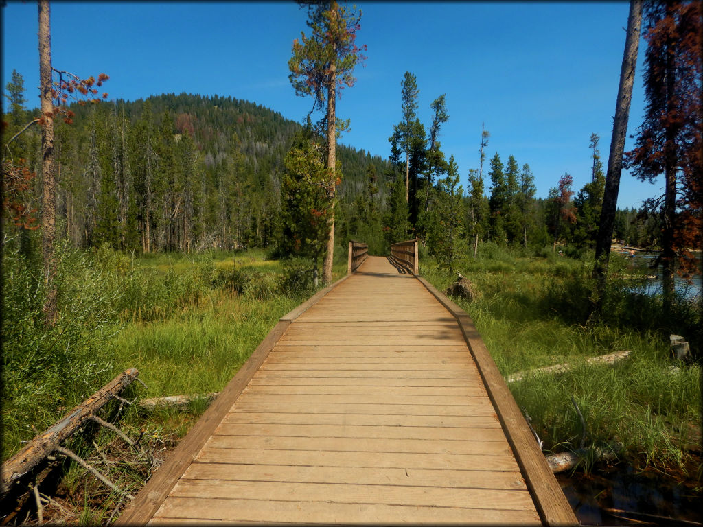 Stanley Lake Trail