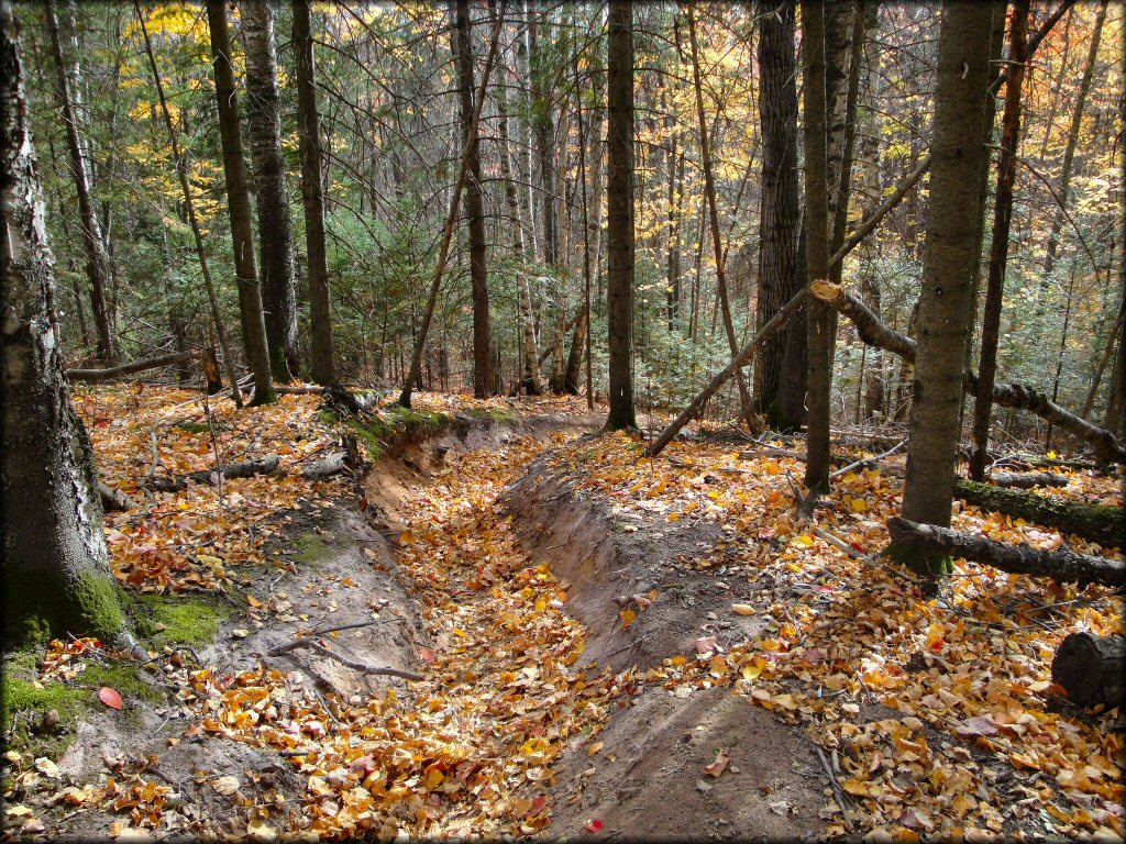 Example of terrain at Nemadji State Forest Trail