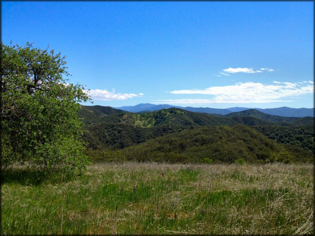 Scenery from Rock Front OHV Area Trail