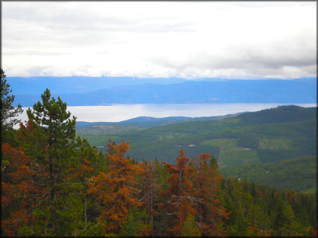 Blacktail Wild Bill OHV Trail System