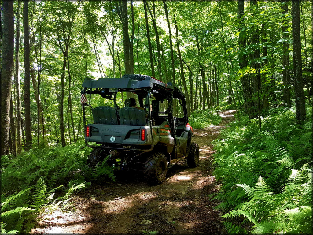 Haneyville ATV Trails