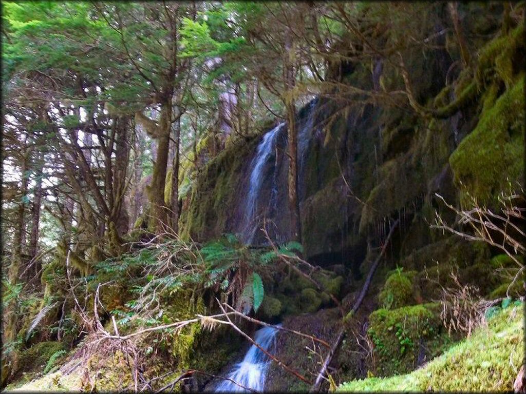 Scenery from Noonday Trail