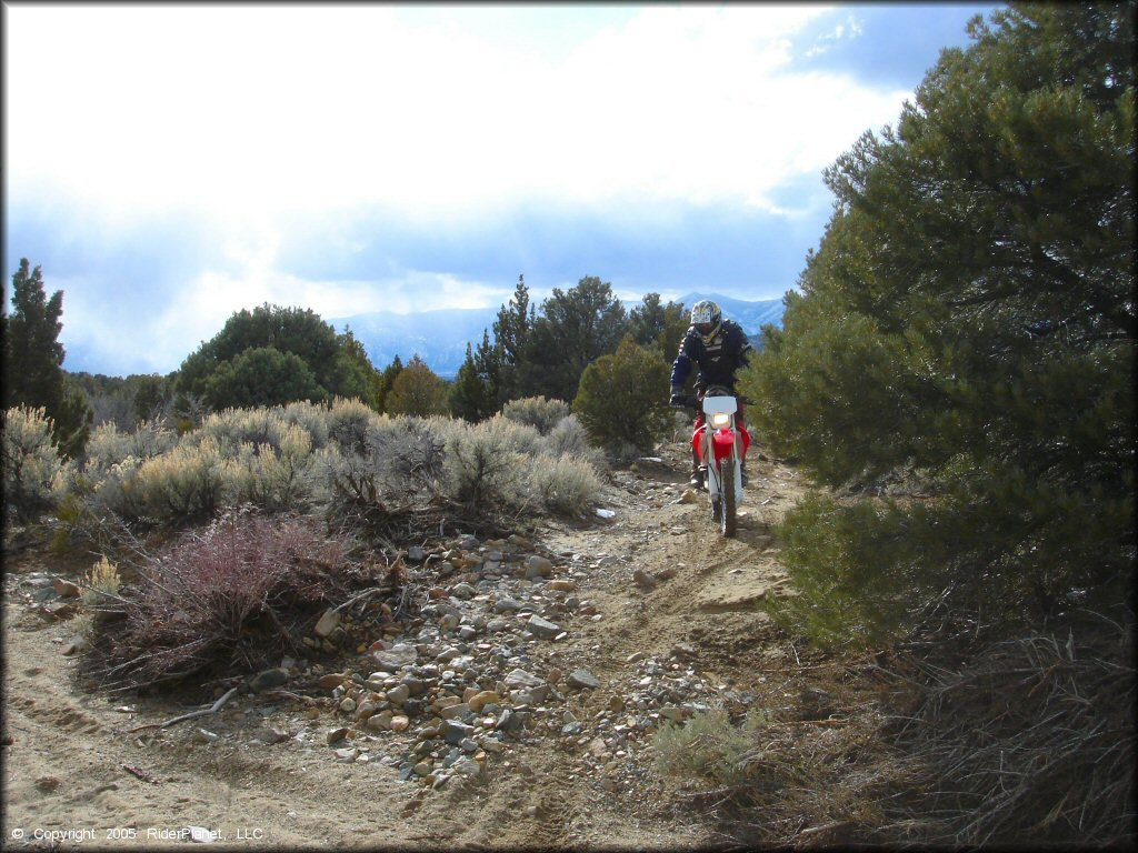 Honda CRF Motorcycle at Old Sheep Ranch Trail