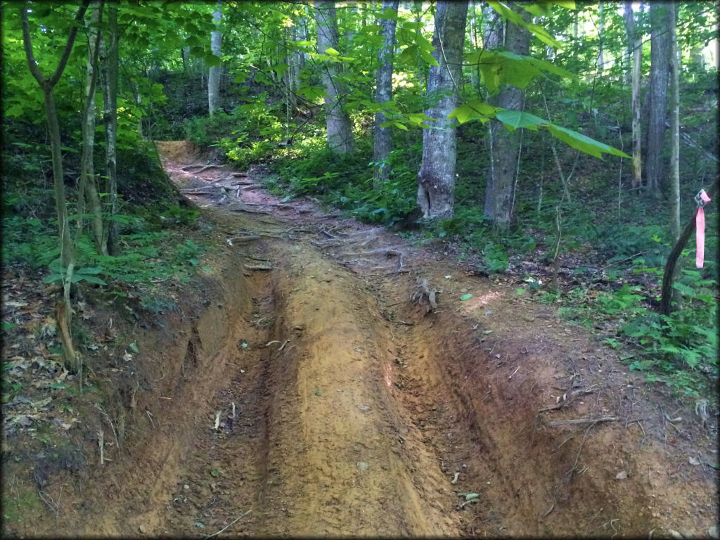 Mountain View Trails