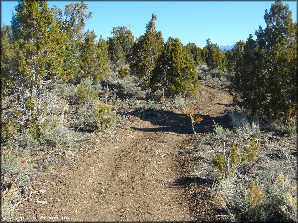Terrain example at Ward Charcoal Ovens State Historic Park Trail