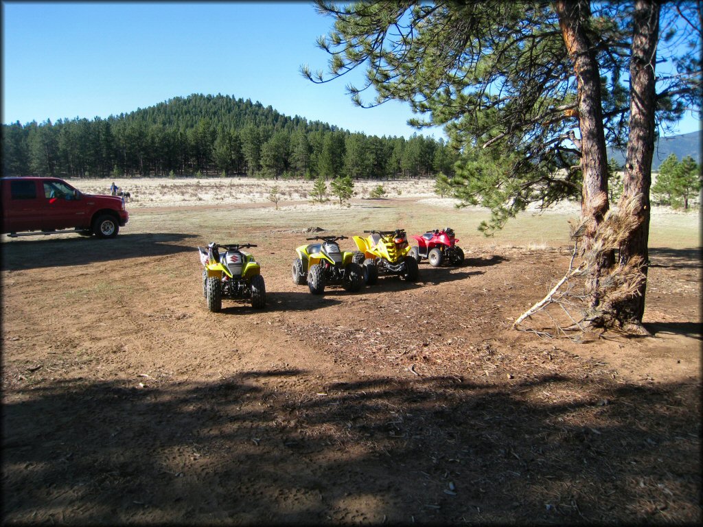 Tarryall Reservoir Trail