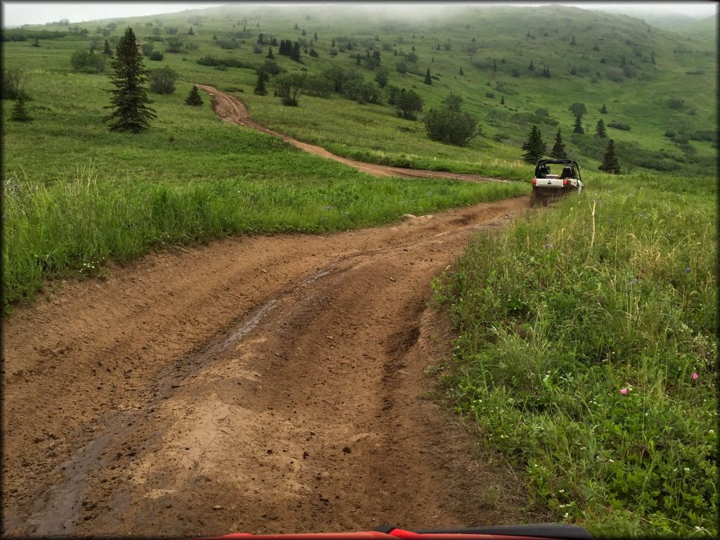 Bald Mountain Trail