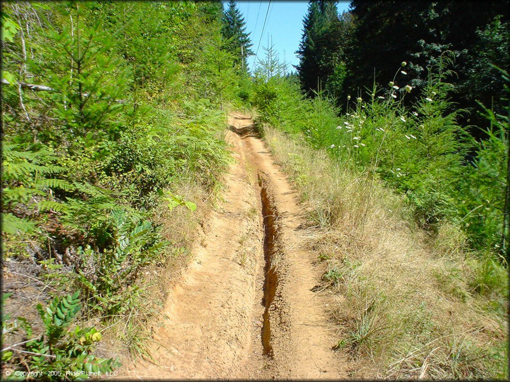 Some terrain at Low Pass Trail
