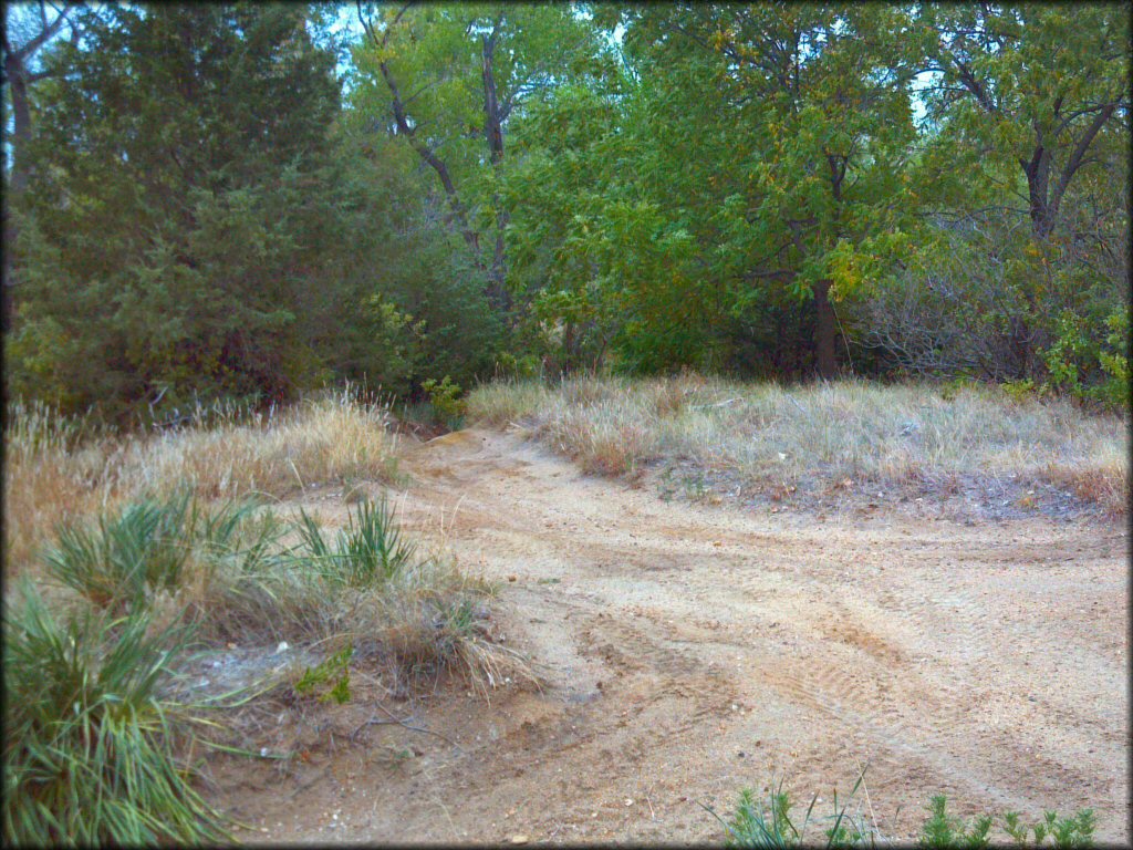 Terrain example at Venango Park ATV Trail