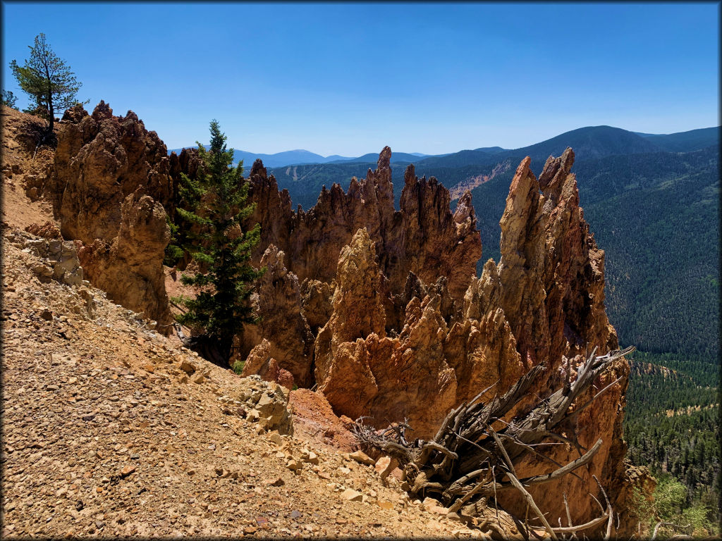 Elephant Rock Trails