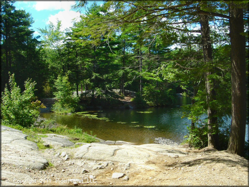 Scenic view at Pisgah State Park Trail