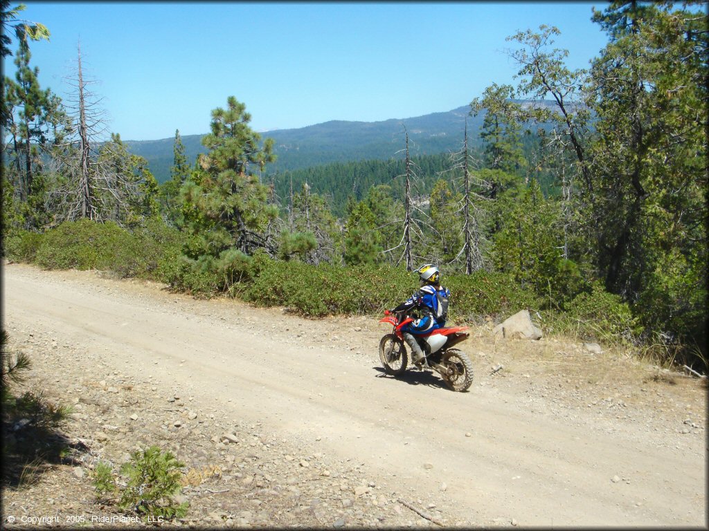 Honda CRF Trail Bike at Gold Note Trails