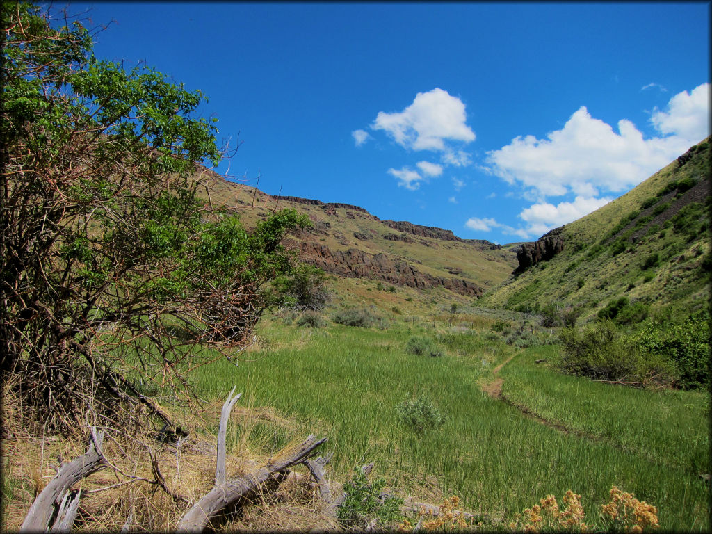 Scenic view of grassy meadow with shallow creek running though taken from the trail.