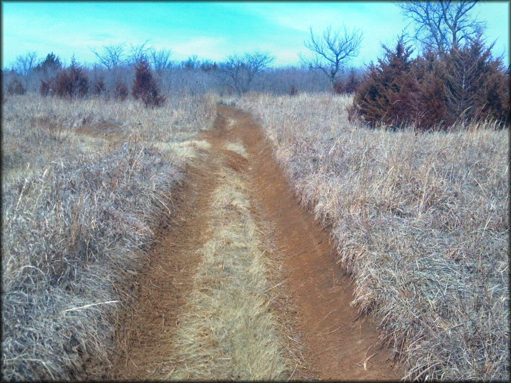 A trail at Spillway Cycle Area Trail
