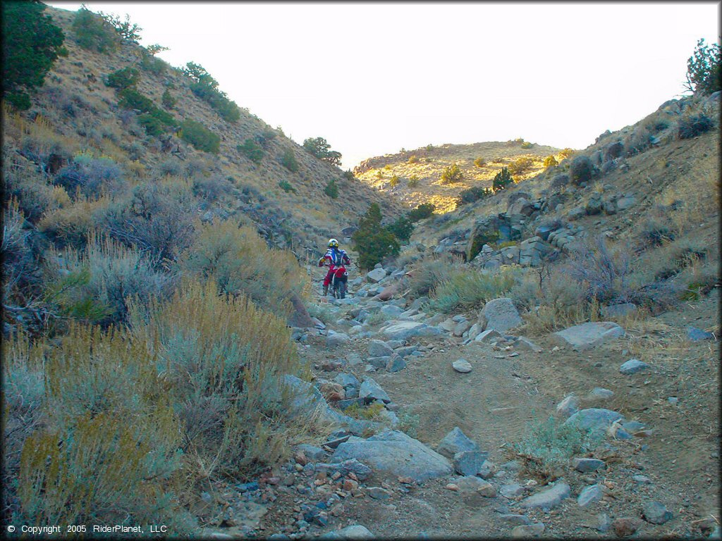 Honda CRF Motorcycle at Stead MX OHV Area