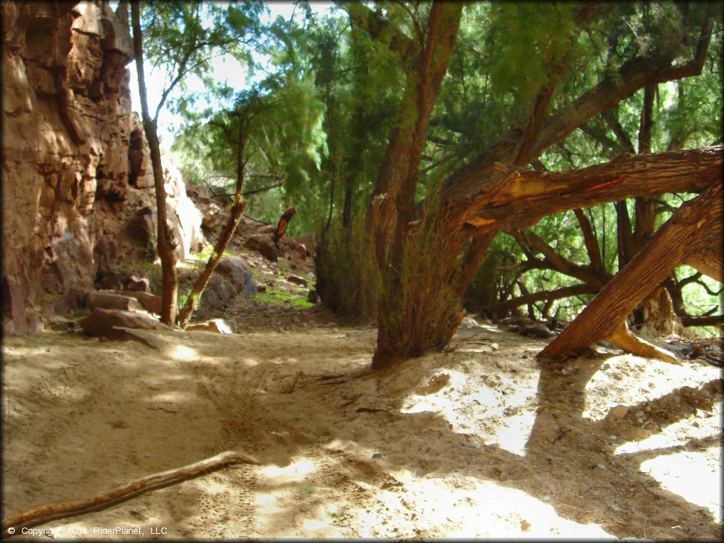 Scenic view of Black Hills Box Canyon Trail