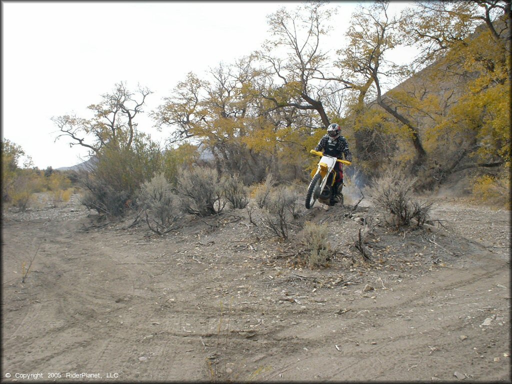 OHV at Peavine Canyon Trail