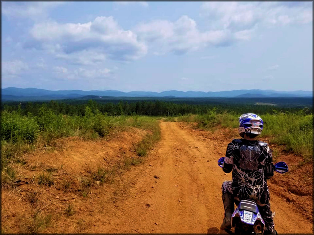 Yamaha Motorcycle on a Dirt Trail