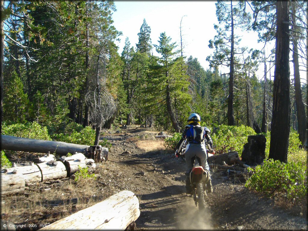 Honda CRF Dirtbike at Black Springs OHV Network Trail