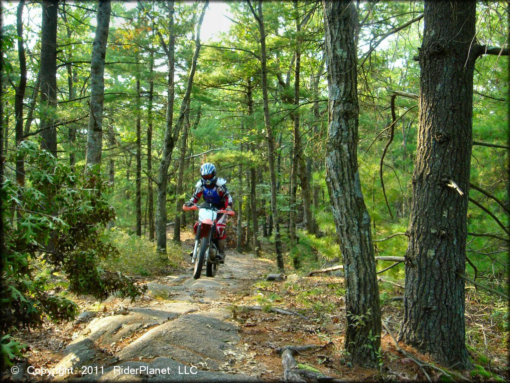 F. Gilbert Hills State Forest Trail