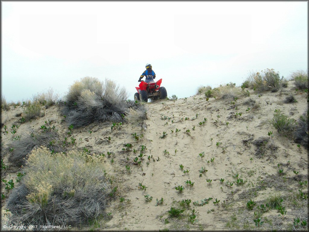 OHV at Winnemucca Sand Dunes OHV Area