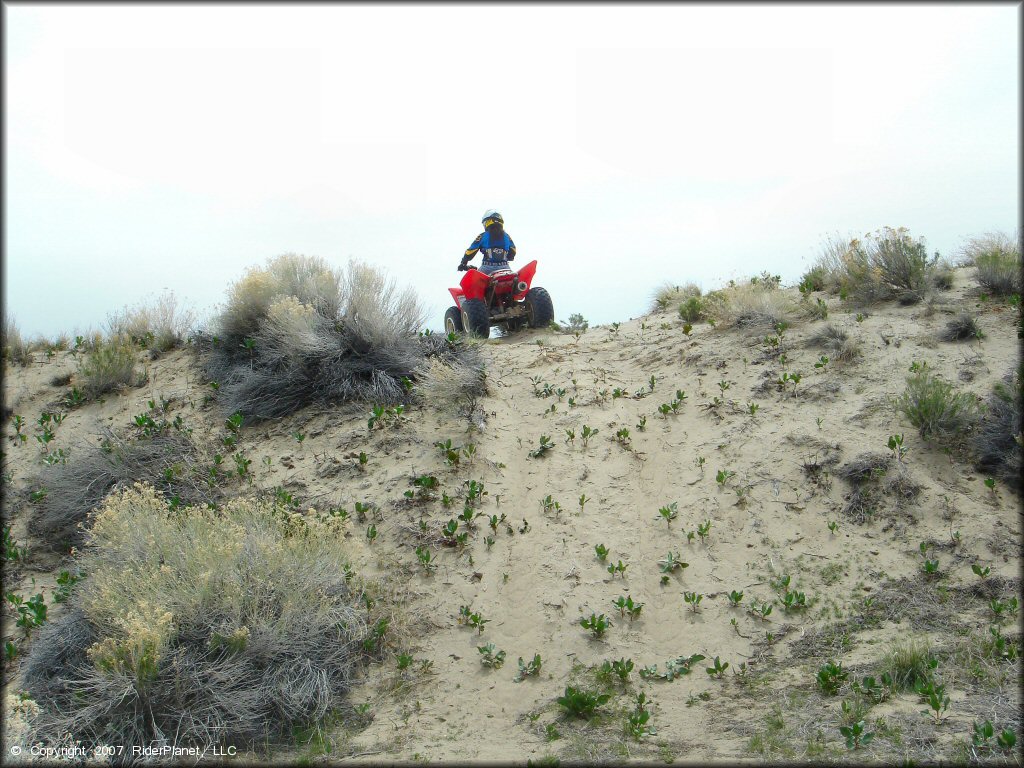 OHV at Winnemucca Sand Dunes OHV Area