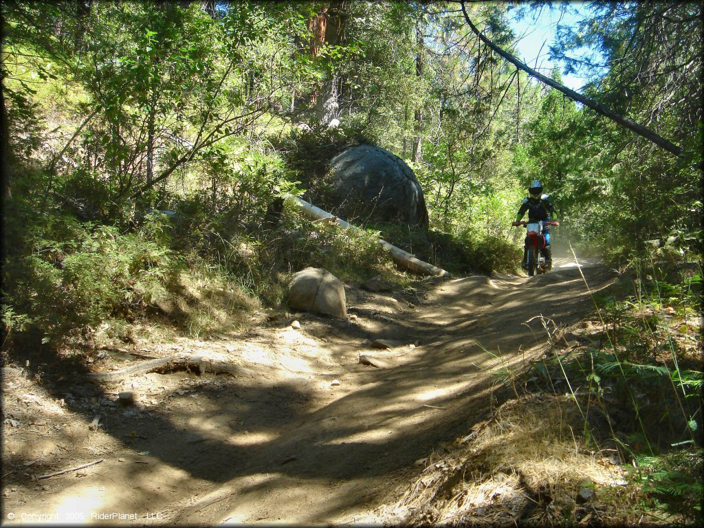 Honda CRF Dirt Bike at Miami Creek OHV Area Trail