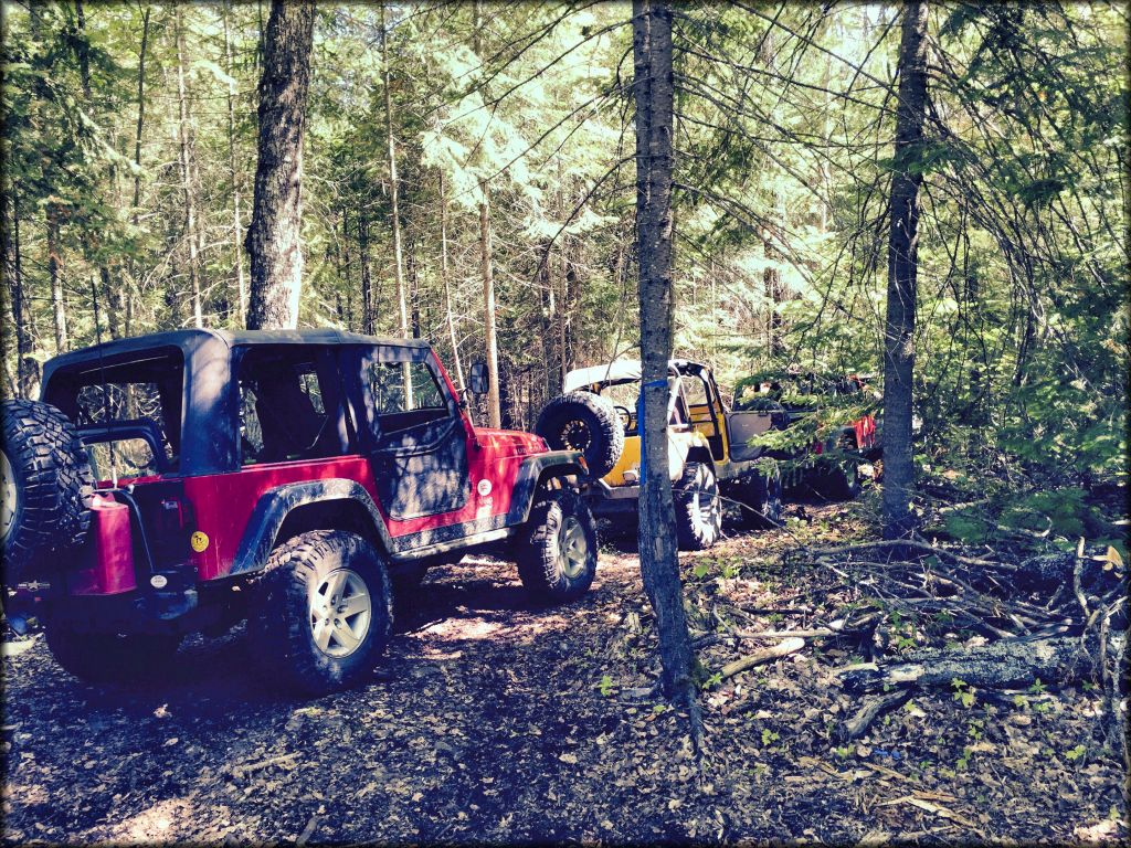 Turtle Ridge ORV Park Trail