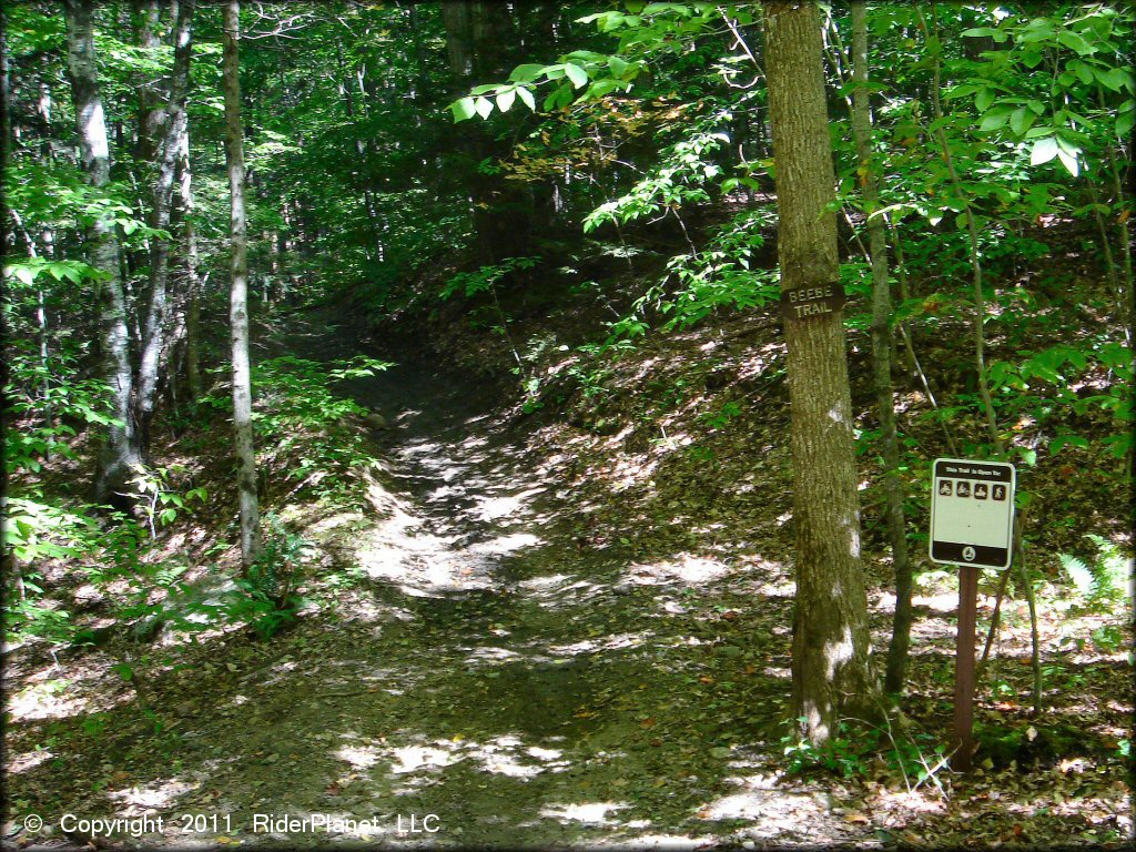 Beartown State Forest Trail