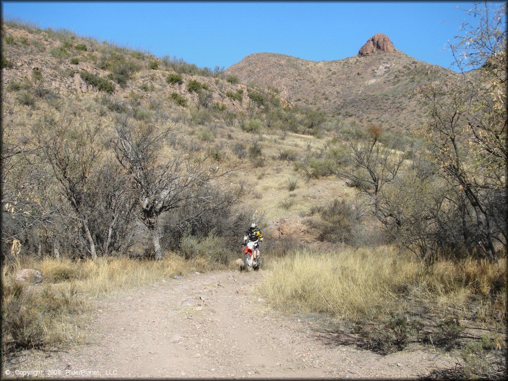 Honda CRF Dirtbike at Red Springs Trail
