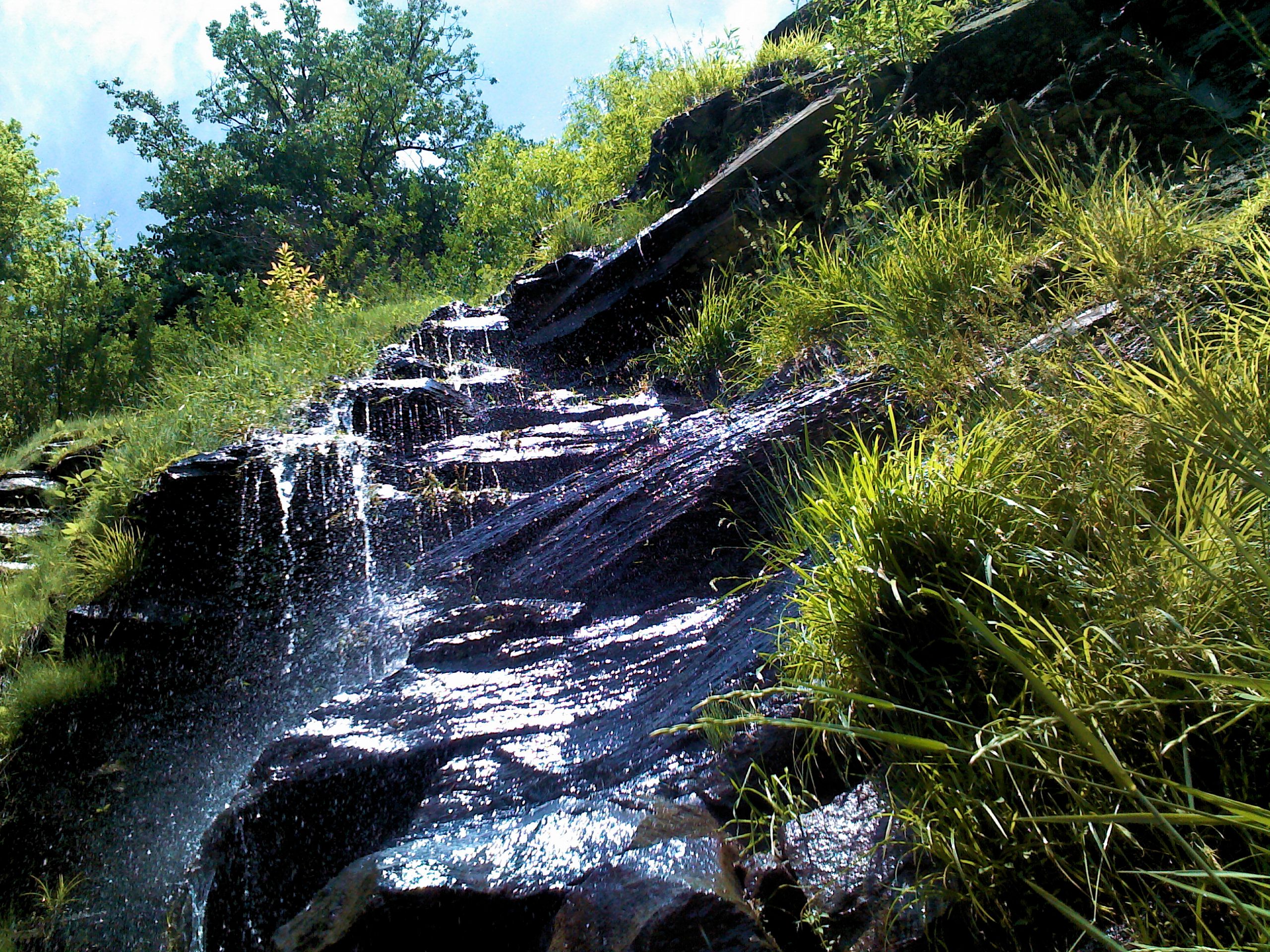 Mountain View Trails