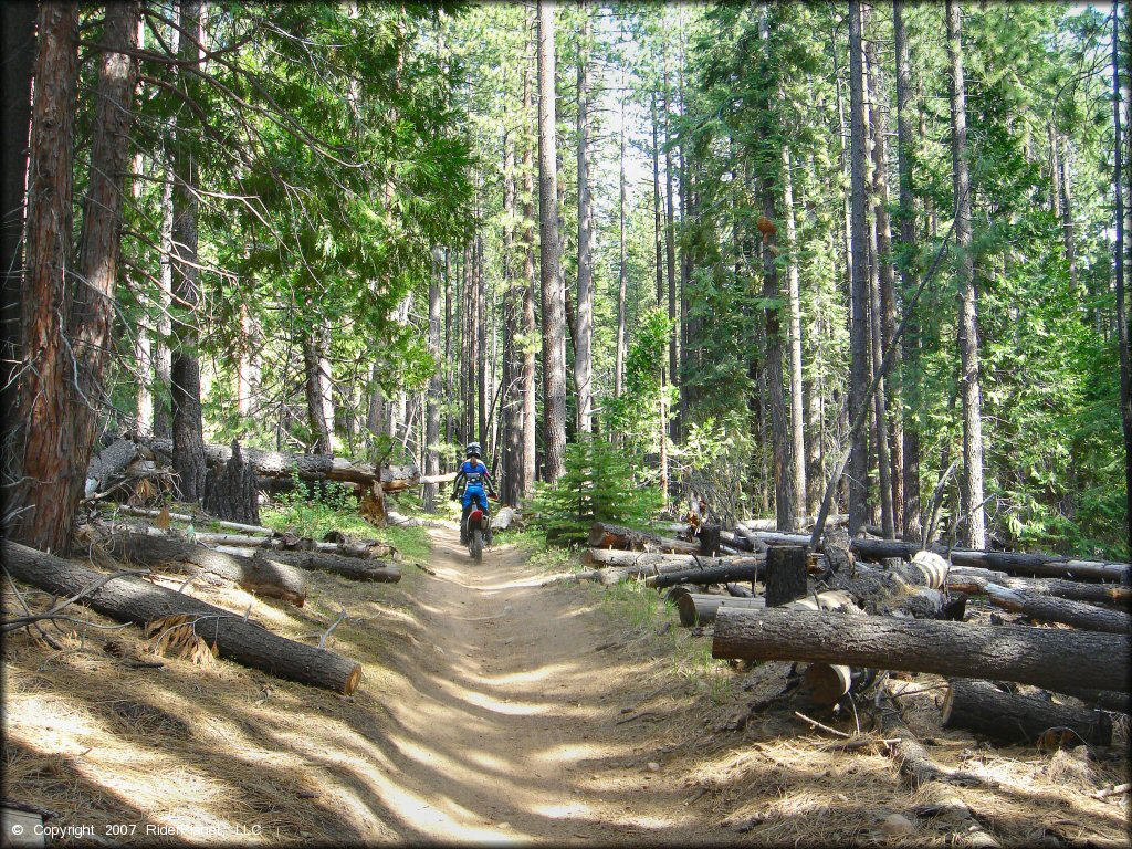 Honda CRF Dirt Bike at Corral OHV Trail