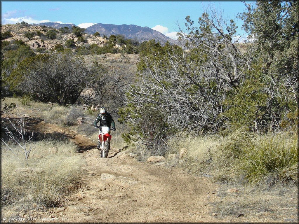 Honda CRF Motorcycle at Redington Pass Trail