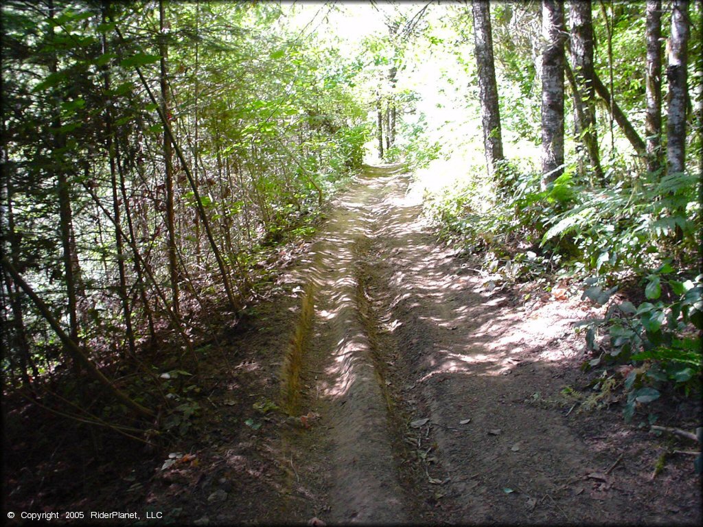 A trail at Low Pass Trail