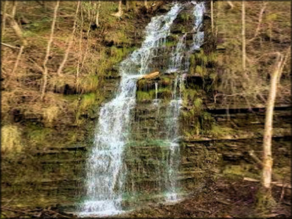 Tackett Creek Trails