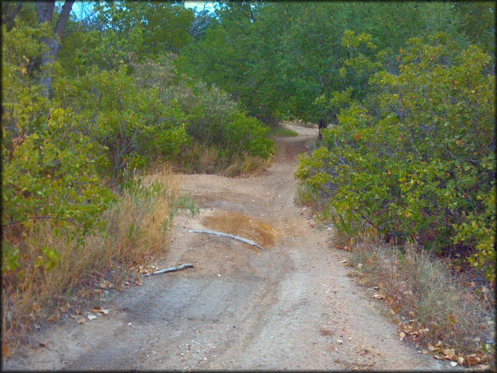 Example of terrain at Venango Park ATV Trail