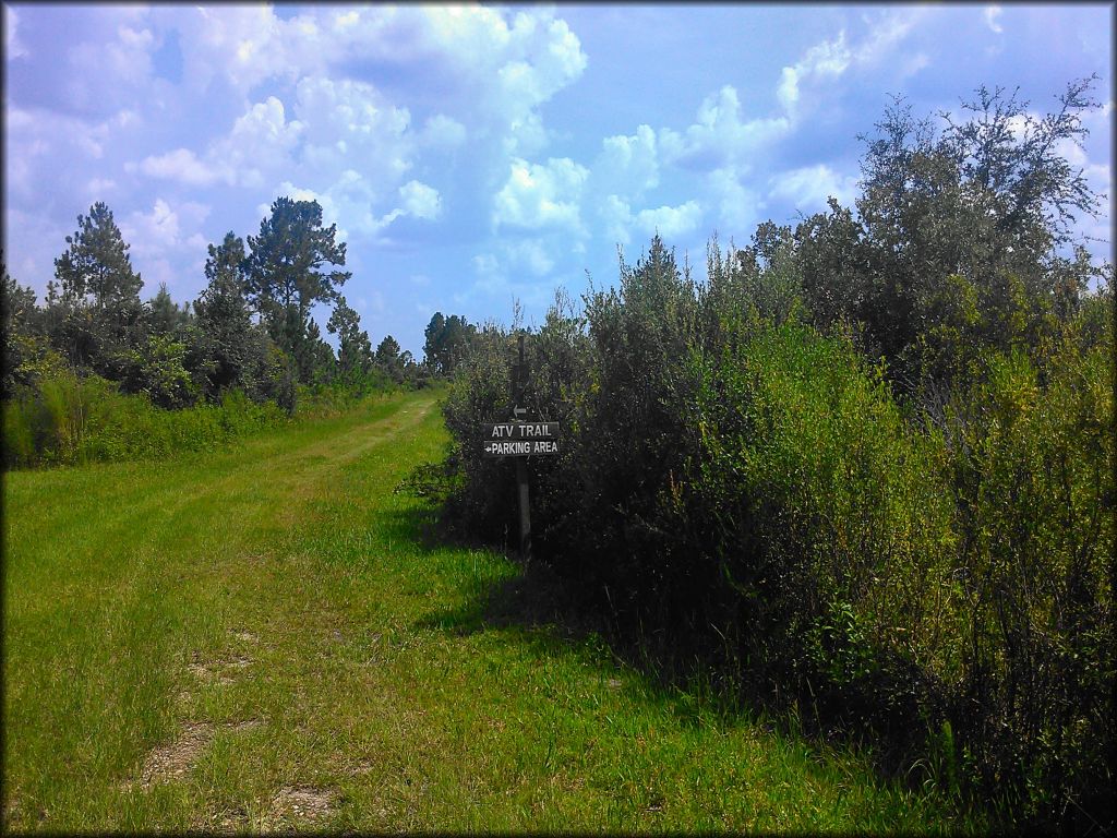 Mallory Swamp ATV Trail