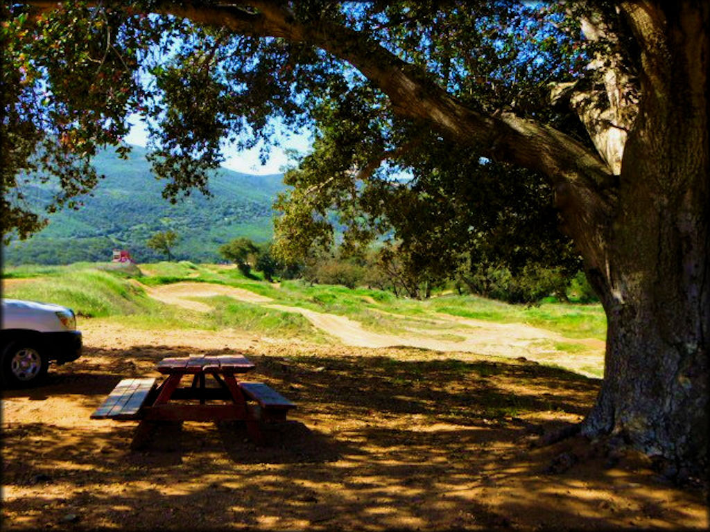 Picnic table in a shaded area near the track.