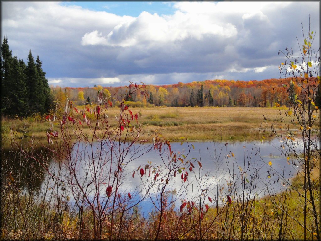 Scenic view of Nemadji State Forest Trail