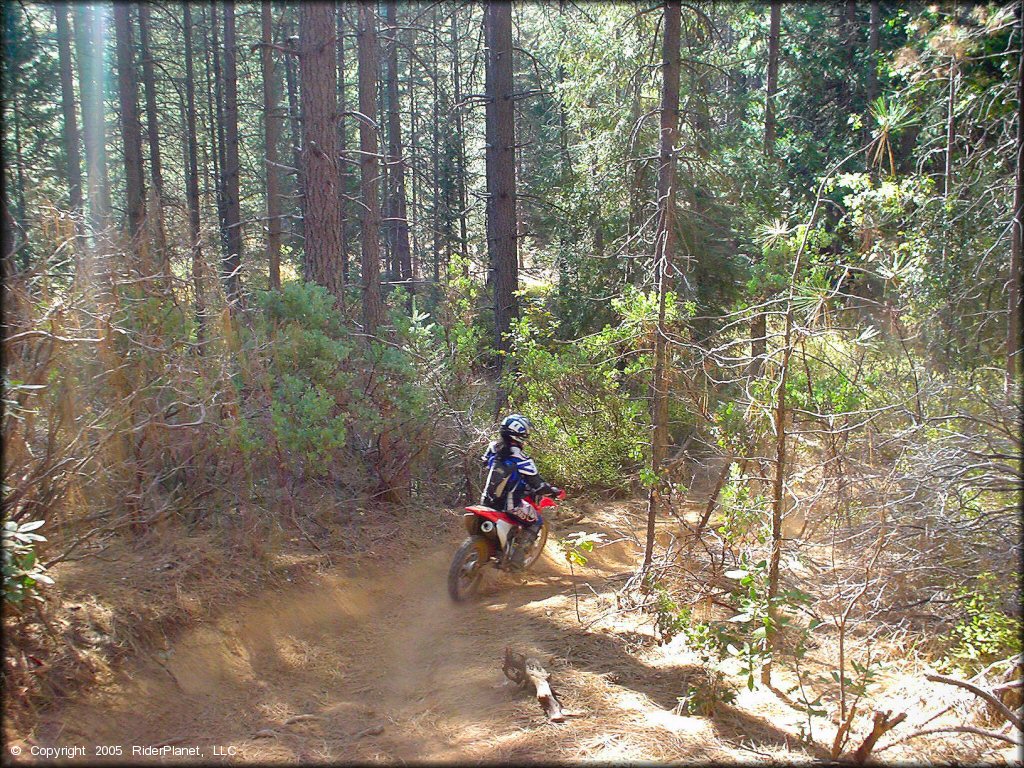 Honda CRF Off-Road Bike at Georgetown Trail