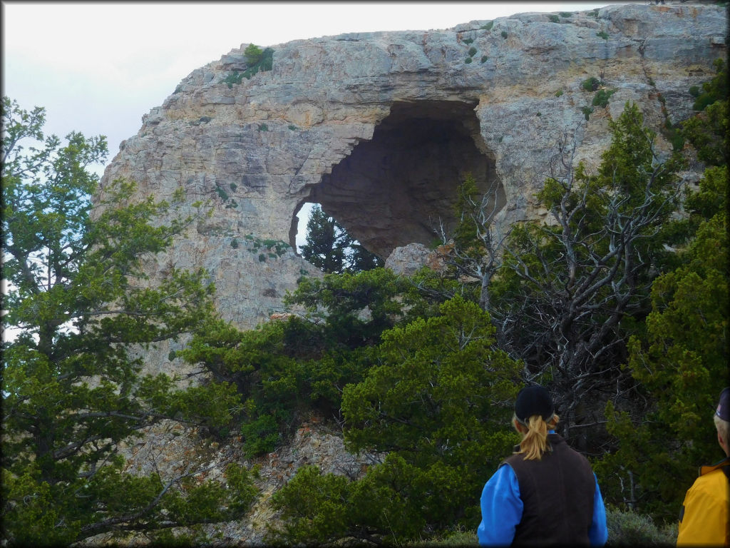 Pryor Mountains Trail