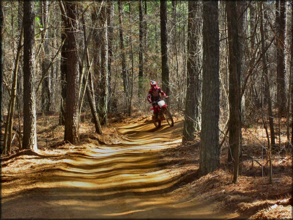 Honda CRF230F riding down smooth ATV trail in the woods.